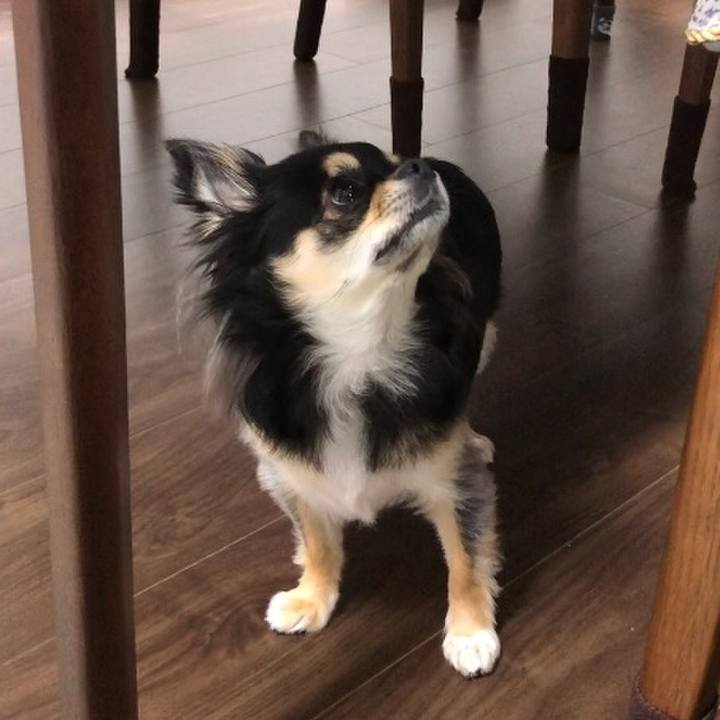 240e2027 48d3 4562 99d1 f1d70ef3f454 1576363851928