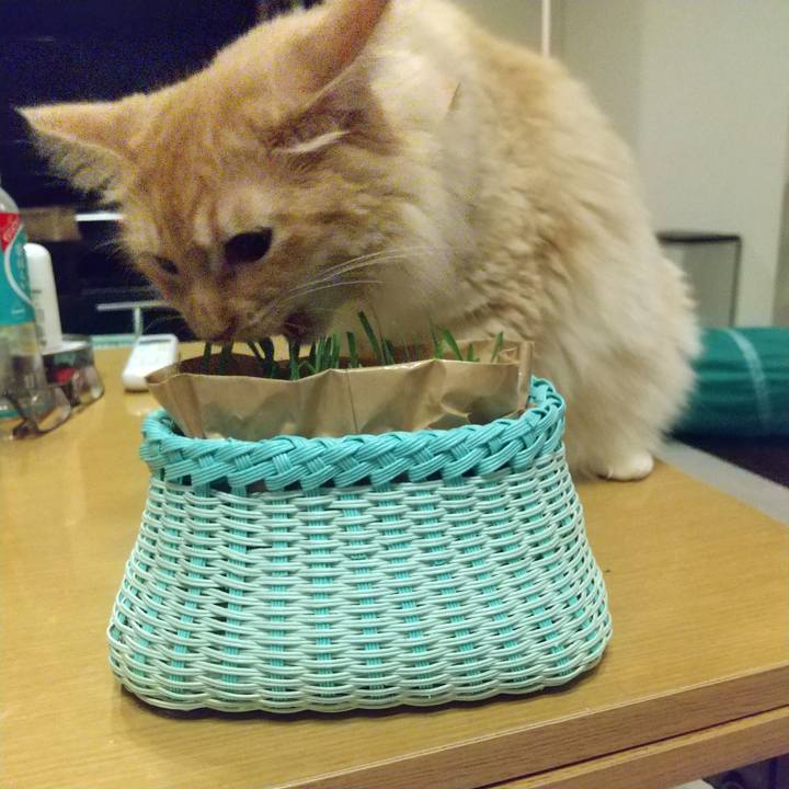 240e2296 97d3 4b8c b8bf 415adac5a4d5 1627215126203