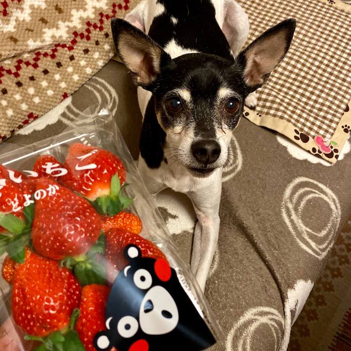 240e275e 72de 4bbc a617 85df698dd9fe 1576068733790