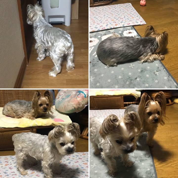 240e76f2 535d 4a55 b906 e5fd6f663718 1571908657424