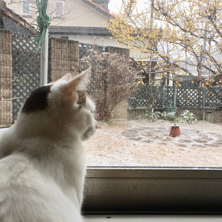 240e8ba5 e373 4fa9 b071 c9ea9bd368fd 1516592899711