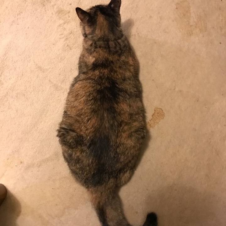 240e8d44 fe85 416f af4c 92cd32fc1689 1516444433437