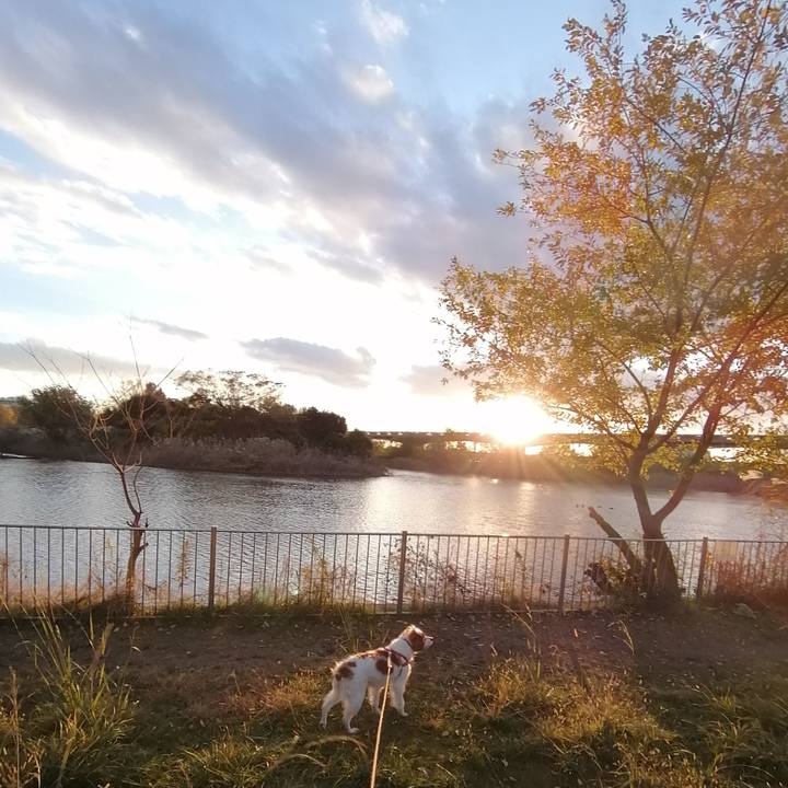 240f3452 86a1 40a5 8179 d97a917612d0 1576152984066