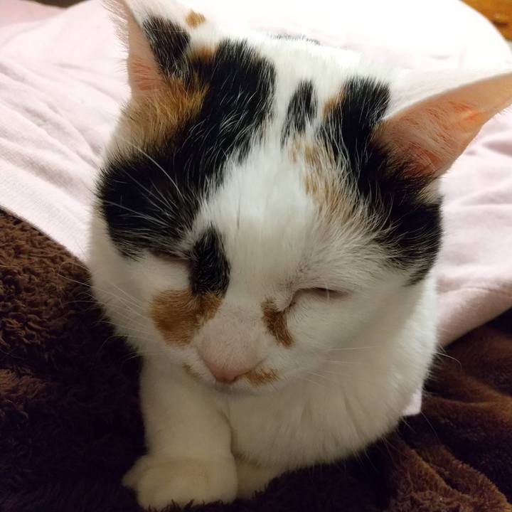 240f35ad 0c2d 4899 bcb3 57d93c007a7e 1708556098502