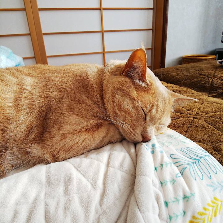 240f40f9 208d 4768 b9fe c6926a311c74 1613521116916