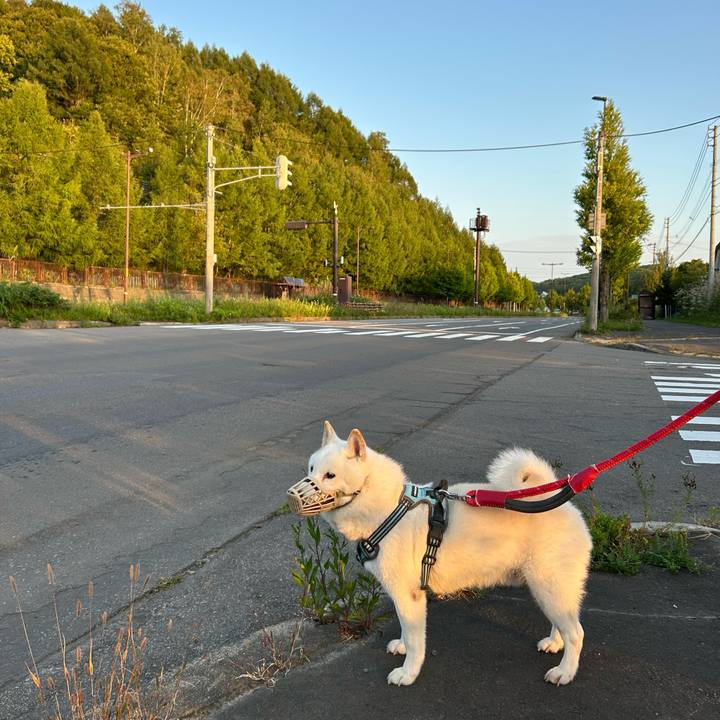 240f56aa 2e2b 4598 93f3 e545f6fcd5ce 1757970516627