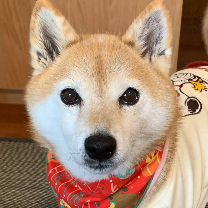 240f637a e748 4703 b336 ce9a72125d67 1671927127195