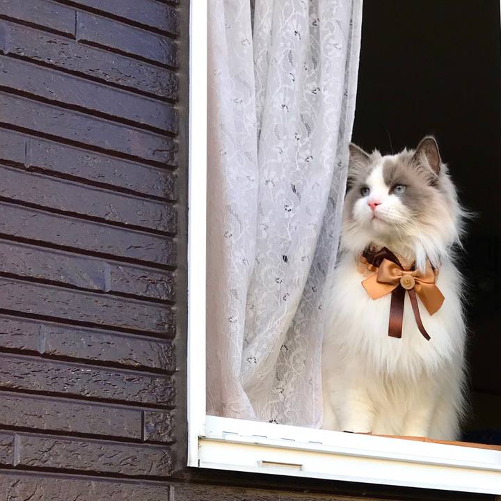 240f9453 8609 4203 85ae f690bbb8f01e 1587639192963