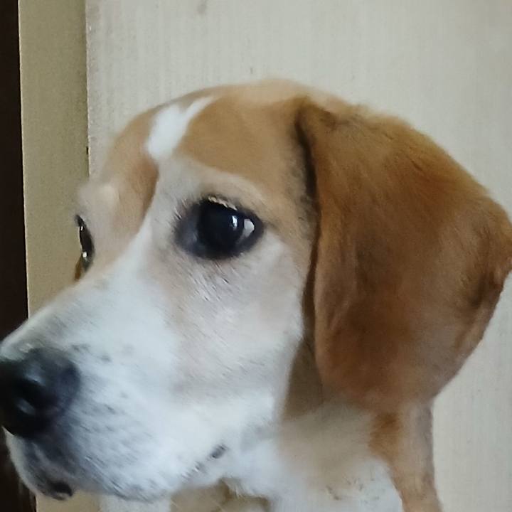 240f9a26 a6fc 4a2a 897d 934736bc3d88 1773836516937