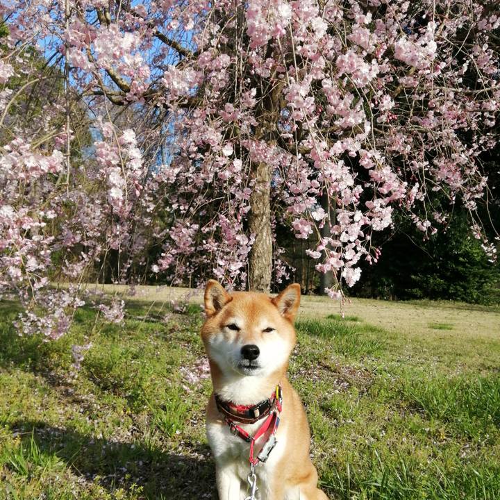 240fb0ab 0e49 4d96 aa83 5f8d25a8c705 1680077217405