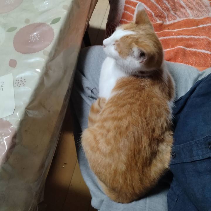 240fd143 7633 44e3 a440 7449a115f390 1733005543073