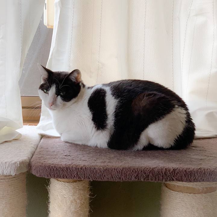 240feeb6 a12f 43ea 84f6 b37deef76aa6 1560992560734