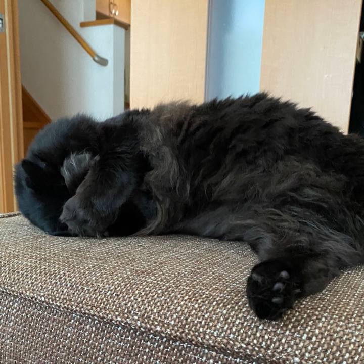 2410018a 4cae 43e6 ac5f bdafe8f15752 1611185185323