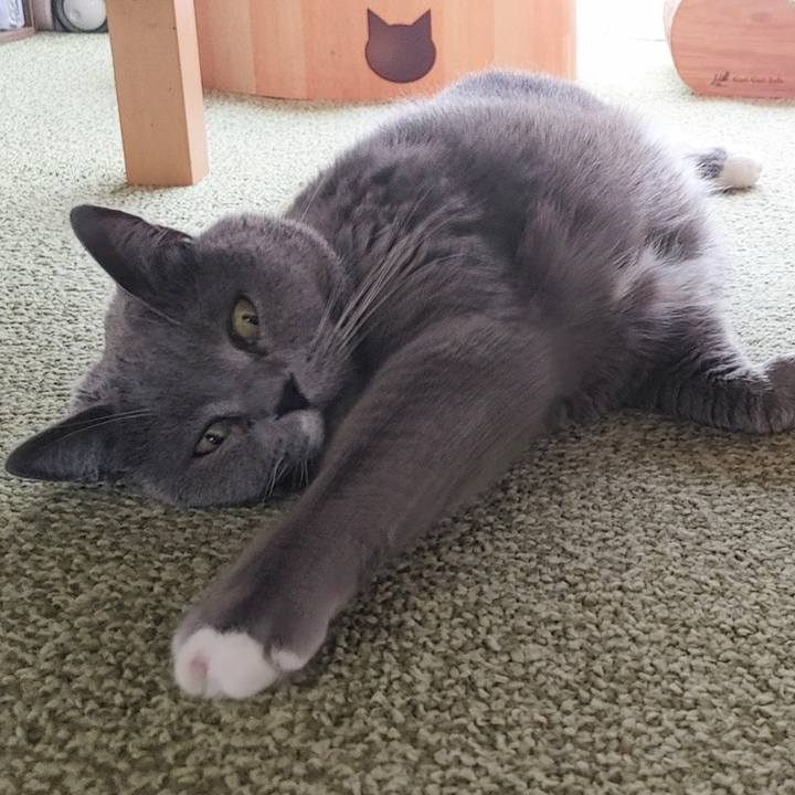 24101125 3284 461e 857c da7247ab51e0 1716005474019