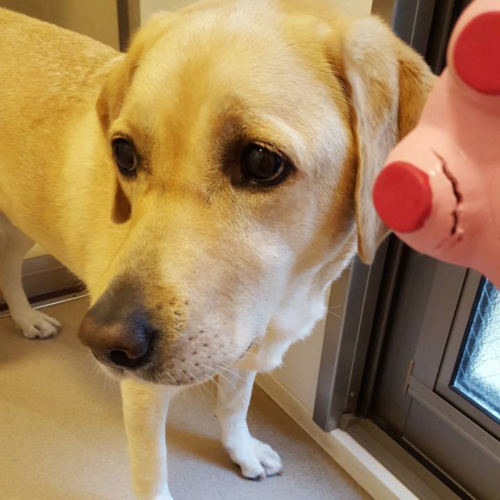 2410506a 001f 4087 9ada 568eef741f87 1508125329268