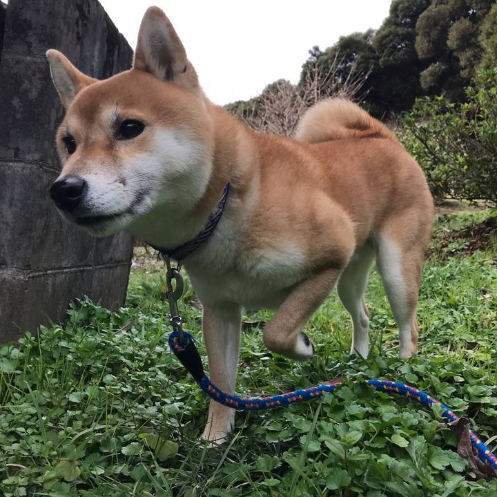 2410a7c2 81d7 4c69 99be c9d87eb899e1 1580537980939