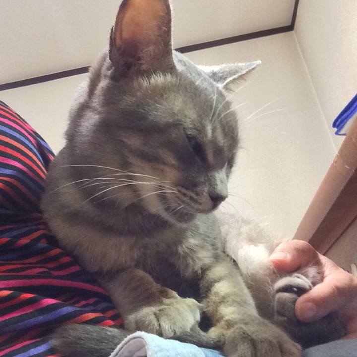 2410afed a4b2 4a3a a009 ec186637e0e8 1569154227353