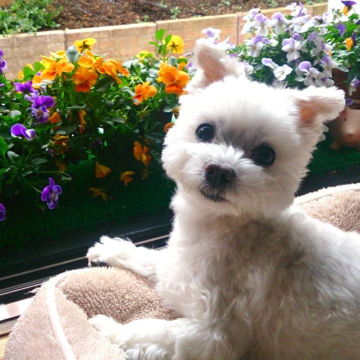 2410bef4 fb58 4edb b38f 6e414610fdab 1521004314376