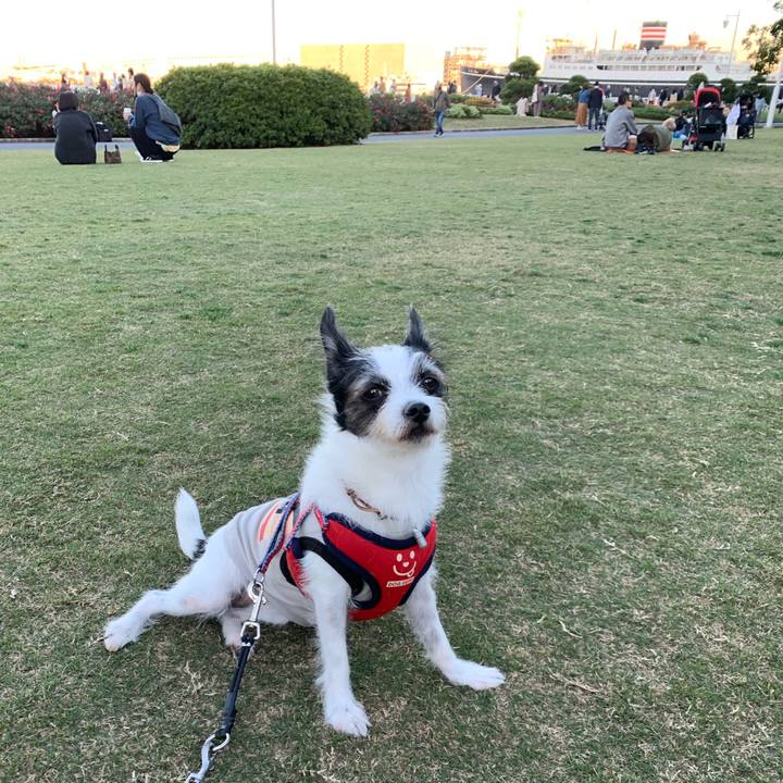 2410cc90 01c9 4a63 a06e 6ca1adbdd96b 1636849159596