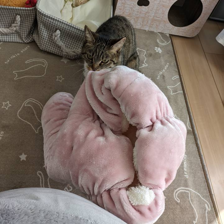 241110a1 5442 4c61 b664 3bbe0f38a2f0 1708733398675