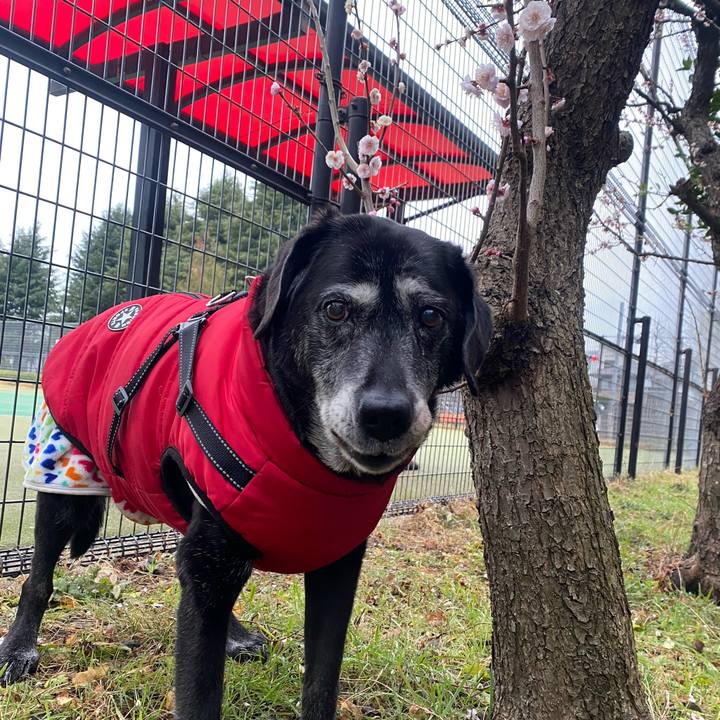 241132d4 ed5c 463c 8f69 2c452916a2a3 1741729816339