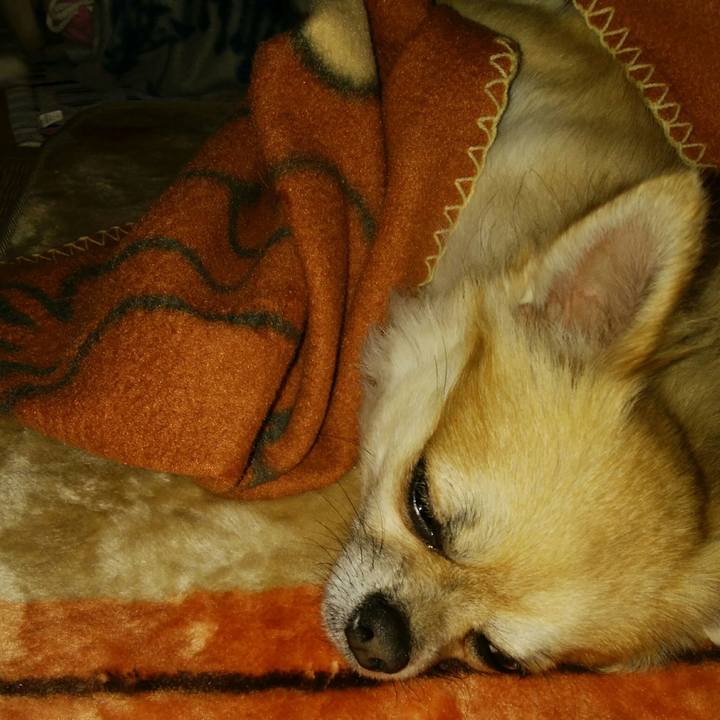 24113d9c f0f9 46c1 b682 4ff8c338e9d2 1514098420344