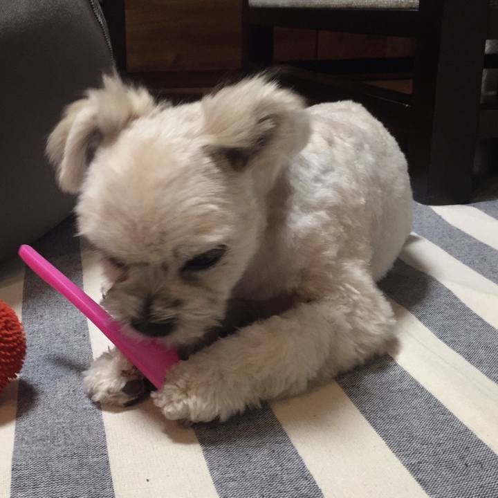 241152a0 2615 47f0 8253 503e29187663 1515508393102