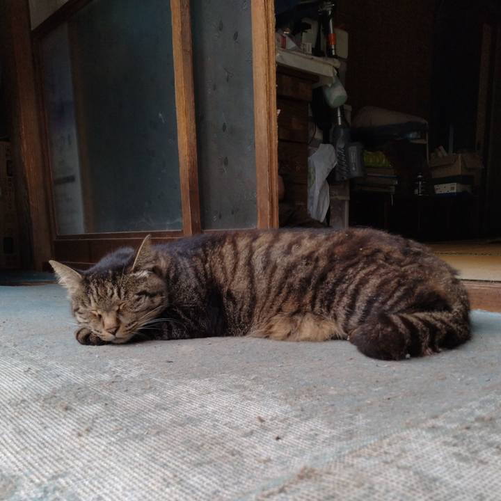 2411977e bf18 4372 b9b4 8d4acea64917 1724027733858