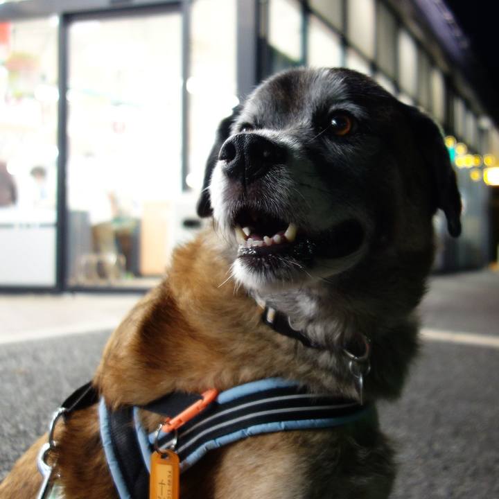 2411e504 8e0f 43de 8136 f37d0145a876 1616025085724