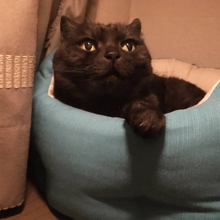 2411feb9 2885 4082 8f2c f5755f13dece 1557574220113