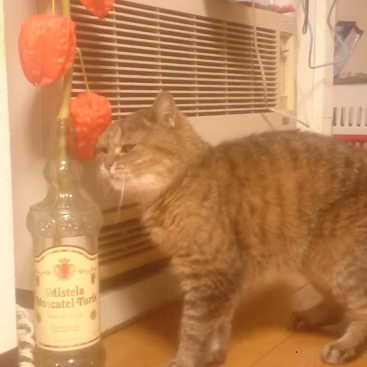 24125549 98a4 45ec 9782 8525979f0112 1596894406744