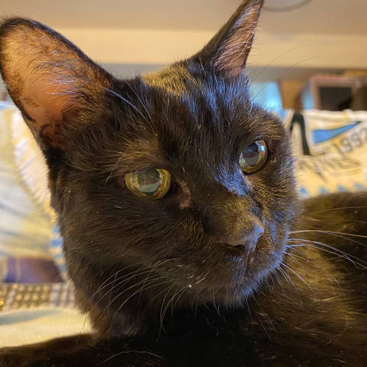 2412657d 59ce 4c87 8adb 9b271794e3e8 1665563058497