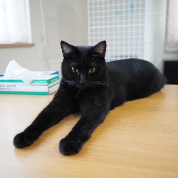 24127a7b c21e 4e15 86b3 8f161417ef6c 1536019246551