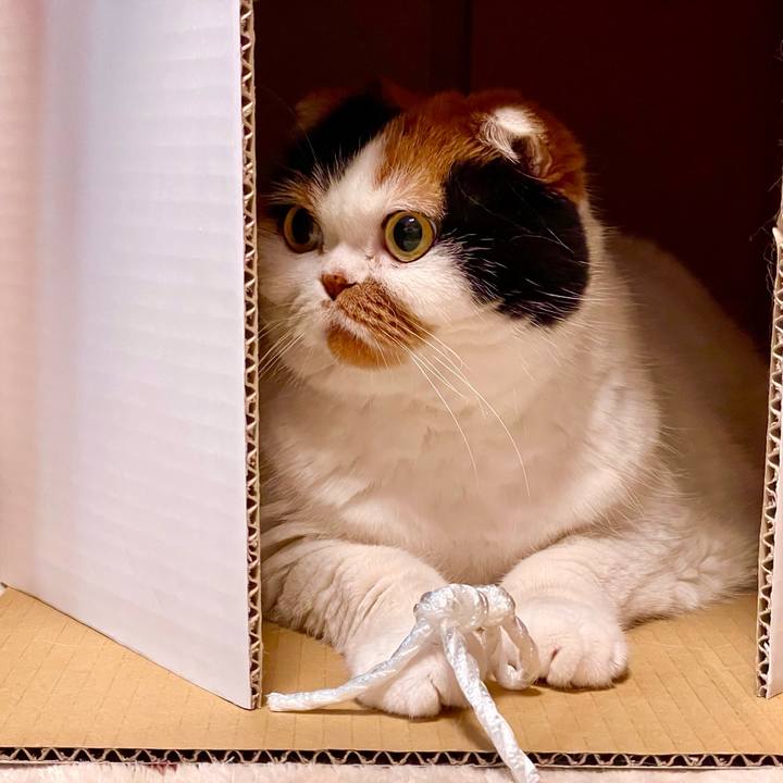 2412852b 6771 4696 9313 7e287ce5fdf2 1637057548333