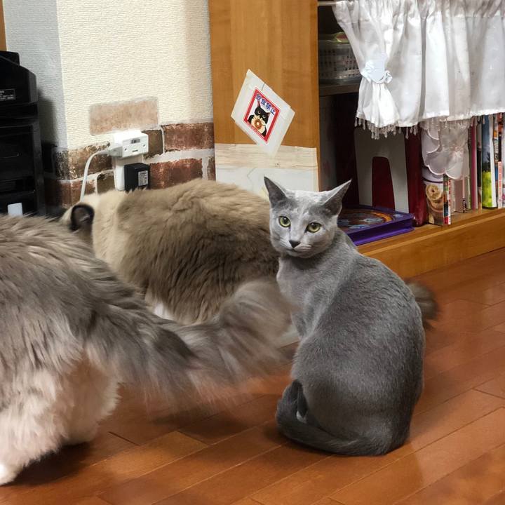 24128706 ce8f 474d 9706 eed14365e72a 1545219913471