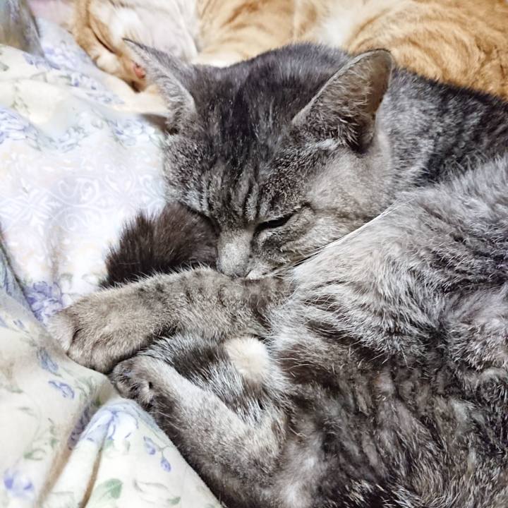 24128e51 d69b 44fb b69e 1b1e08147bfe 1581856787742