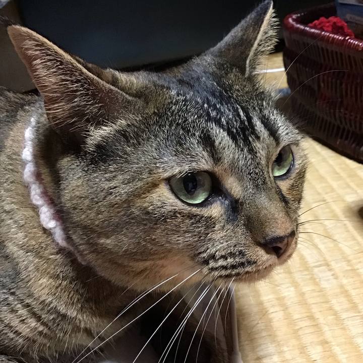 24129f3e e0ce 40a4 845f 7f2c321923b0 1693833970727