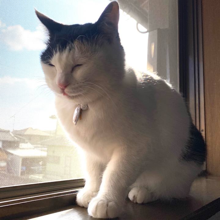 2412addf 1a21 40ab a4e5 248f8ee2190b 1644754167360