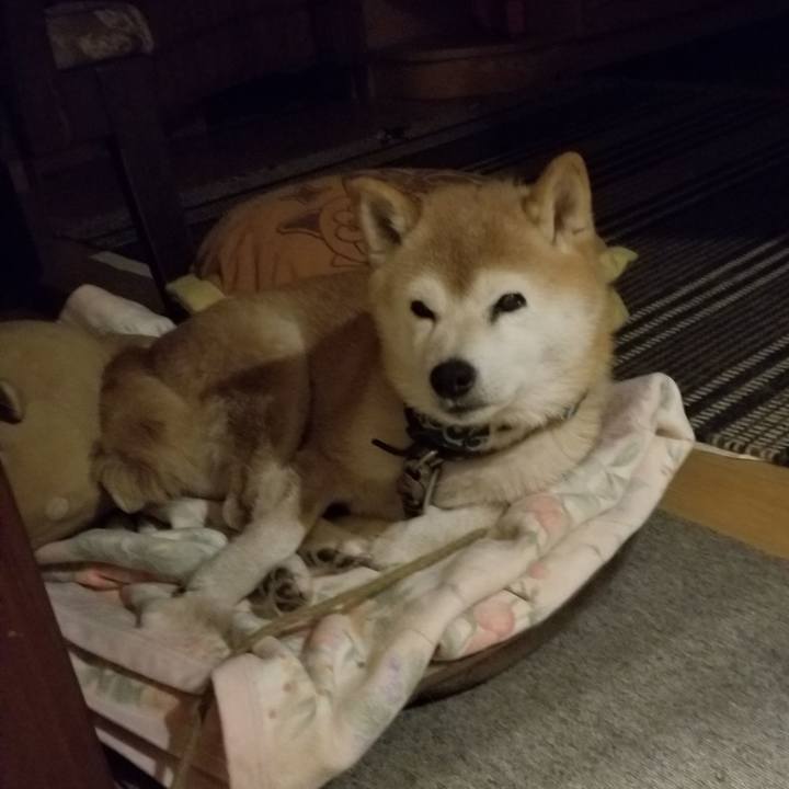 2412bb0a 468f 4bbf a79f b7a4210e8129 1707214055982