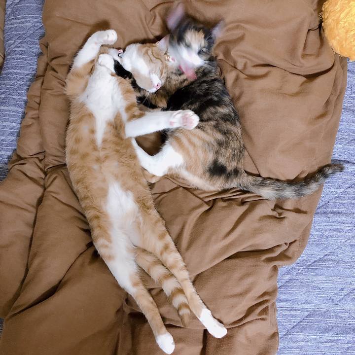 2412c1e2 9b8a 4956 9027 4a489d3efba8 1568552961344