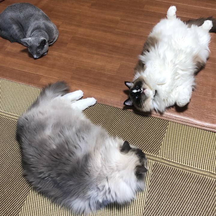 2412d8bc 7f80 46fb 977e c315b0855f17 1576942236903