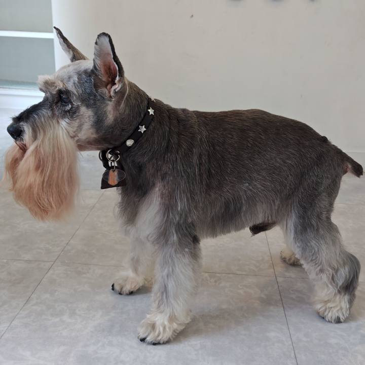 2412d90a 2716 4b22 b6a8 adb80bc0f799 1759209958278