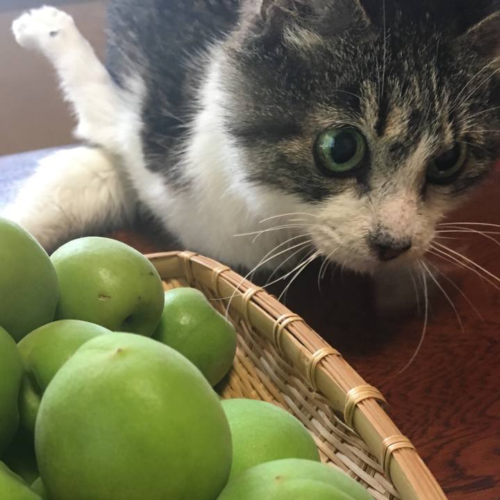 24130f99 f0aa 49be a553 794cf04a36a0 1590964869134