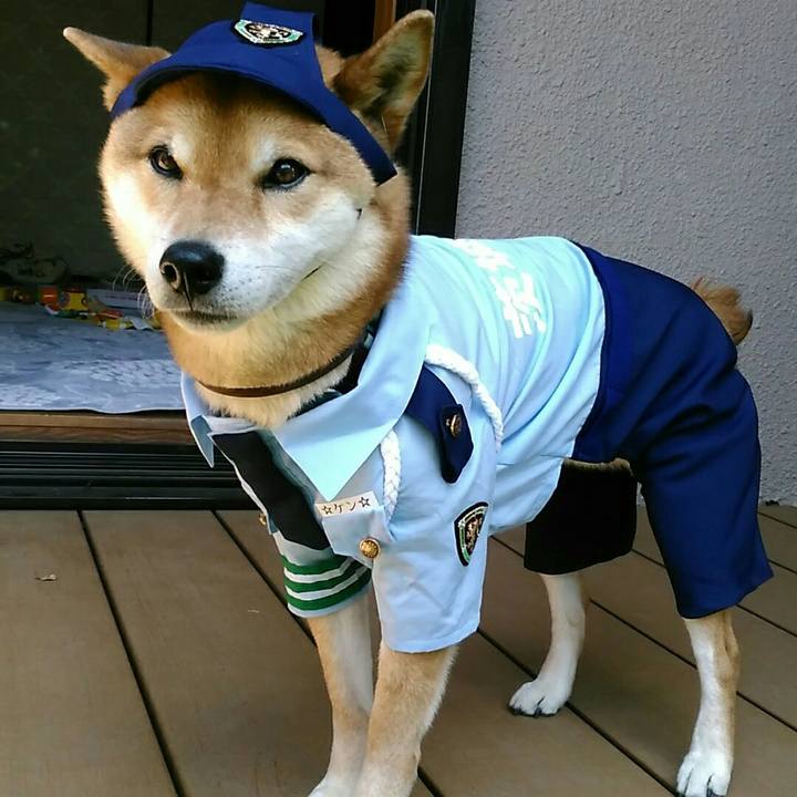 24133f91 f7c0 4866 b3b0 04a32034b11d 1555736584033