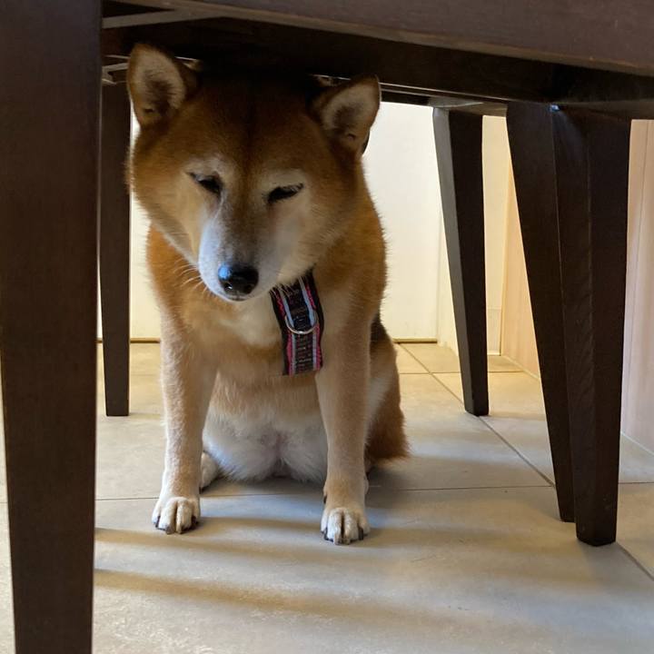 24138168 ac74 498d adad 8c4b0ebd9c07 1664874010042