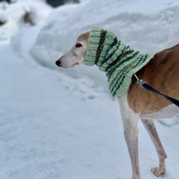 241389cf a82e 4ad5 9337 02280d8131de 1771316268086