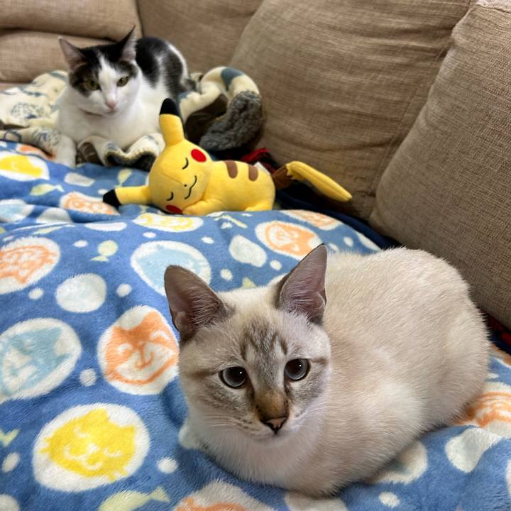 2413b5bb c955 4830 8c0e c7e6eae774c1 1730373366324