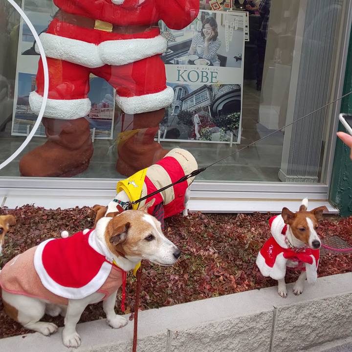 2413c19c 4c80 4821 93bc da794c4f8952 1545569884821