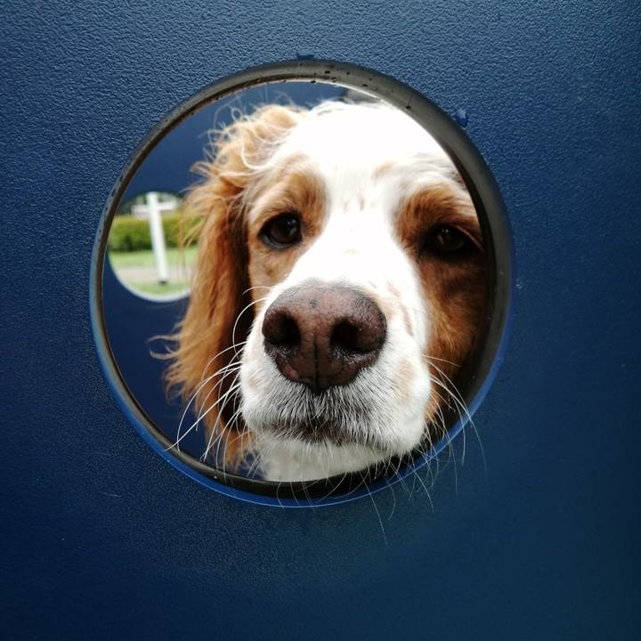 2413c96b 2fd6 49d3 9763 d8574d100e63 1592550301050