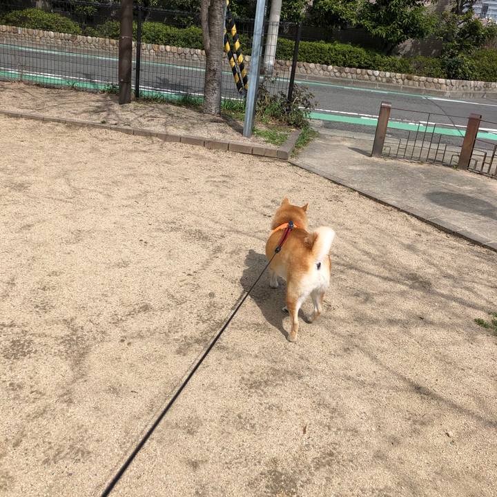 2413ed66 fafe 4ac2 8477 b0a45352d23a 1552526082749